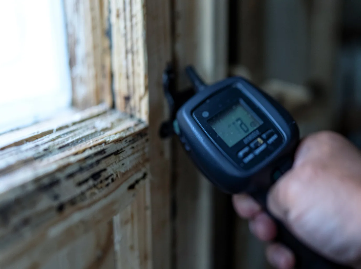 Moisture Inspection And Documentation in Fredonia, AZ